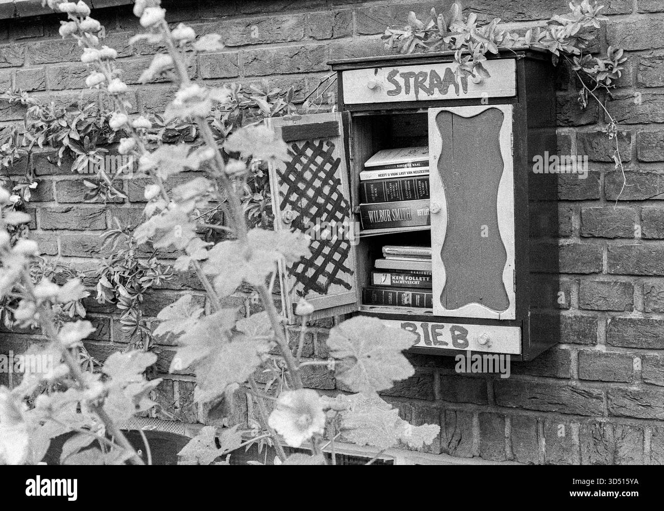 Biblioteca Nighbourhood. Cableboard Neighbourhood Library su un muro residenziale, che rende libri e letteratura disponibili per la lettura e il prestito a chiunque all'interno della comunità del quartiere. Rotterdam, Paesi Bassi. Girato su Analog Black & Whote Film, 2021. Rotterdam Gordelweg Zuid-Holland Nederland Copyright: XGuidoxKoppesxPhotox Foto Stock