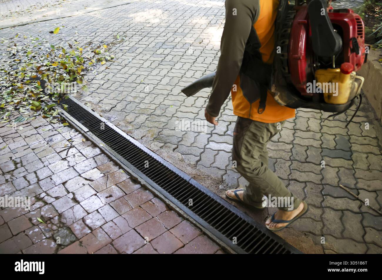 Lavoratore diligente che utilizza un soffiatore per foglie per pulire le foglie autunnali dallo scarico stradale pavimentato. Questo lavoro di manutenzione del paesaggio mostra una persona concentrata sull'attività all'aperto Foto Stock