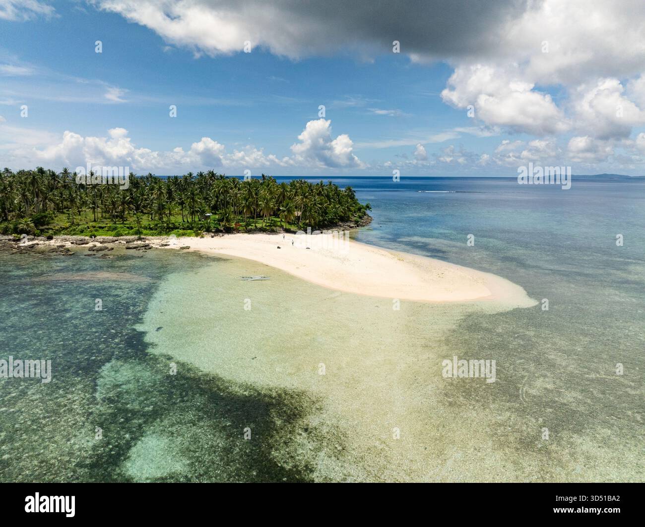 La foresta di palme si estende su una spiaggia sabbiosa che incontra le acque turchesi poco profonde lungo la costa tropicale. Isola di Kawhagan. Siargao, Filippine. Foto Stock