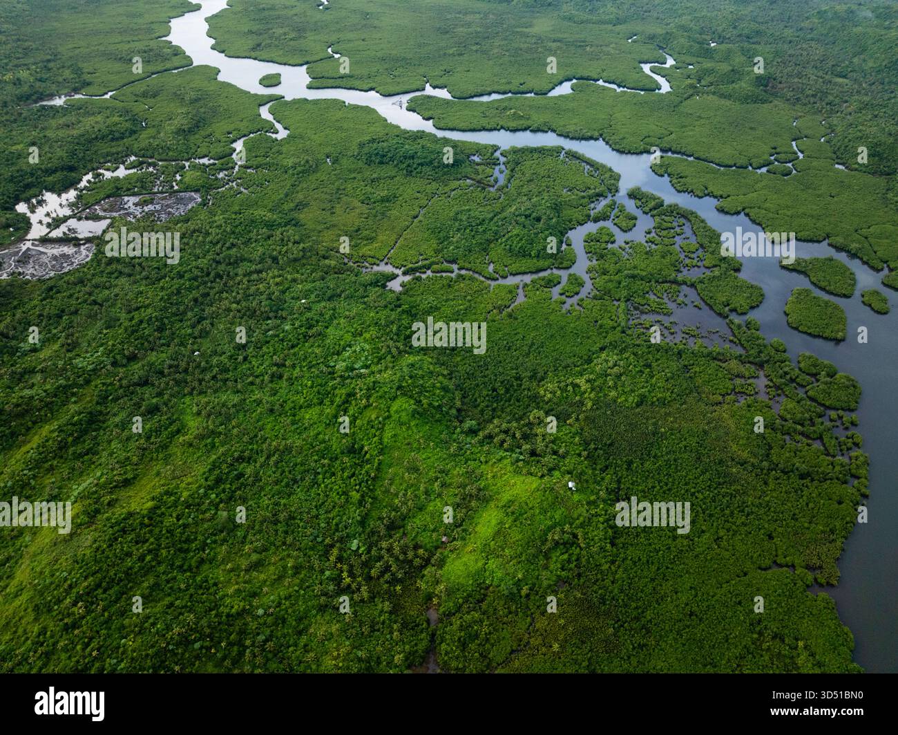 Foresta di mangrovie con tortuosi canali fluviali e verdi colline tropicali ricoperte da fitta vegetazione. Siargao, Filippine. Foto Stock