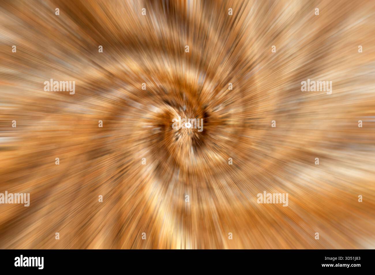 Centro astratto ingrandito con motivo radiale arancione caldo e marrone e struttura in legno Foto Stock