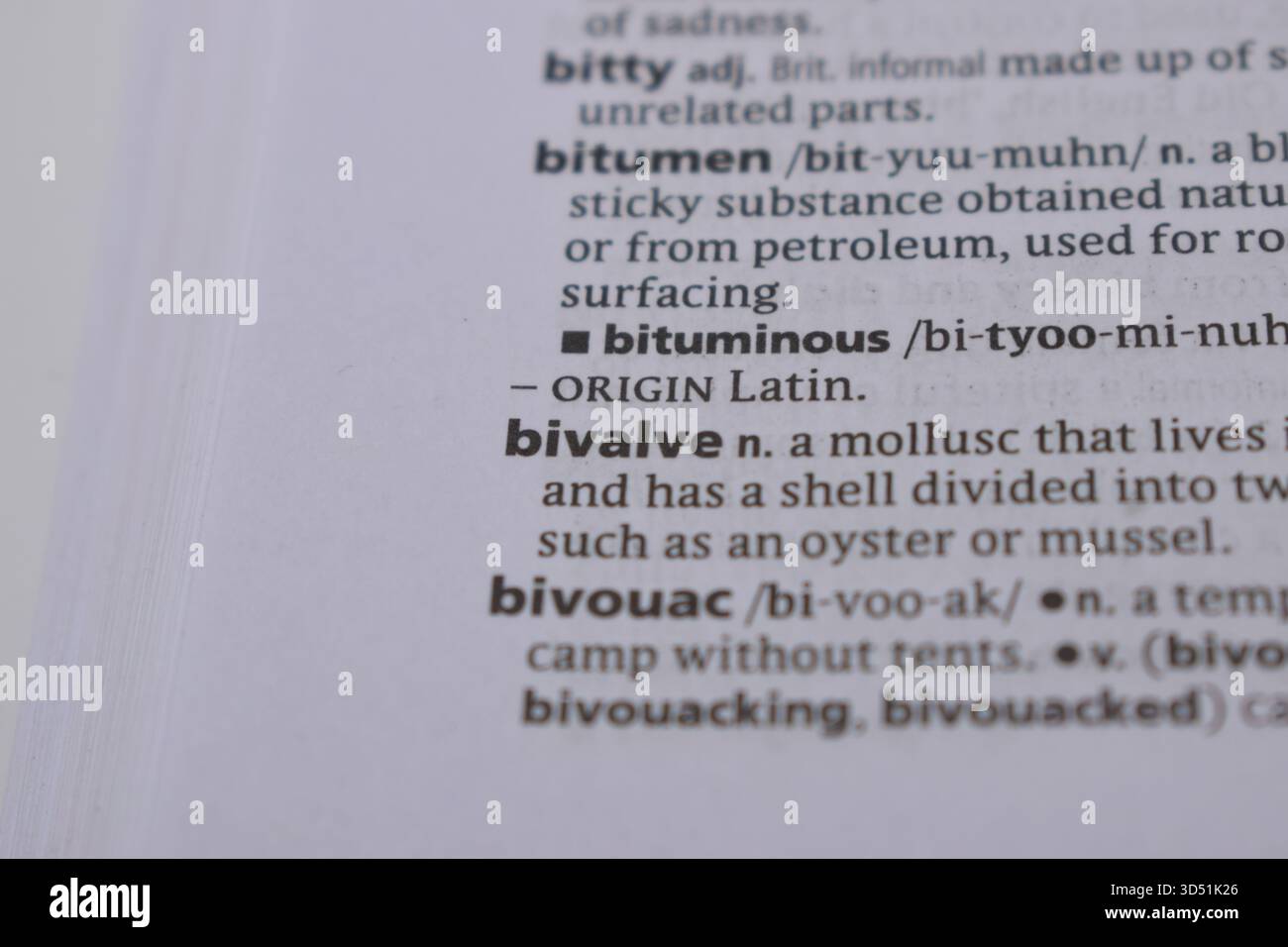 English Definition Dictionary pagina primo piano della parola stampata di -bivalve Foto Stock