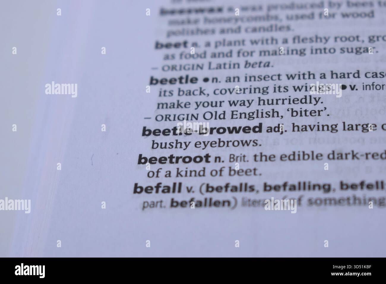 Primo piano della pagina del dizionario inglese con Word - Beetroot Foto Stock