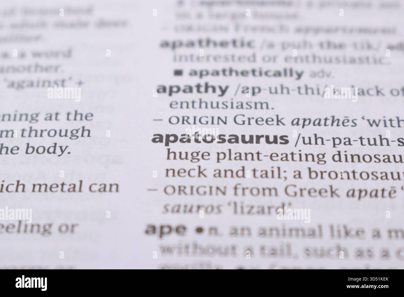 English Definition Dictionary pagina primo piano della parola stampata di -apatosaurus Foto Stock