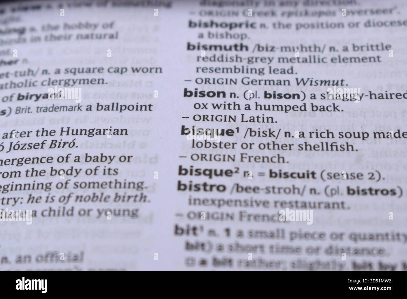 Primo piano della pagina del dizionario inglese con Word - Bisque Foto Stock