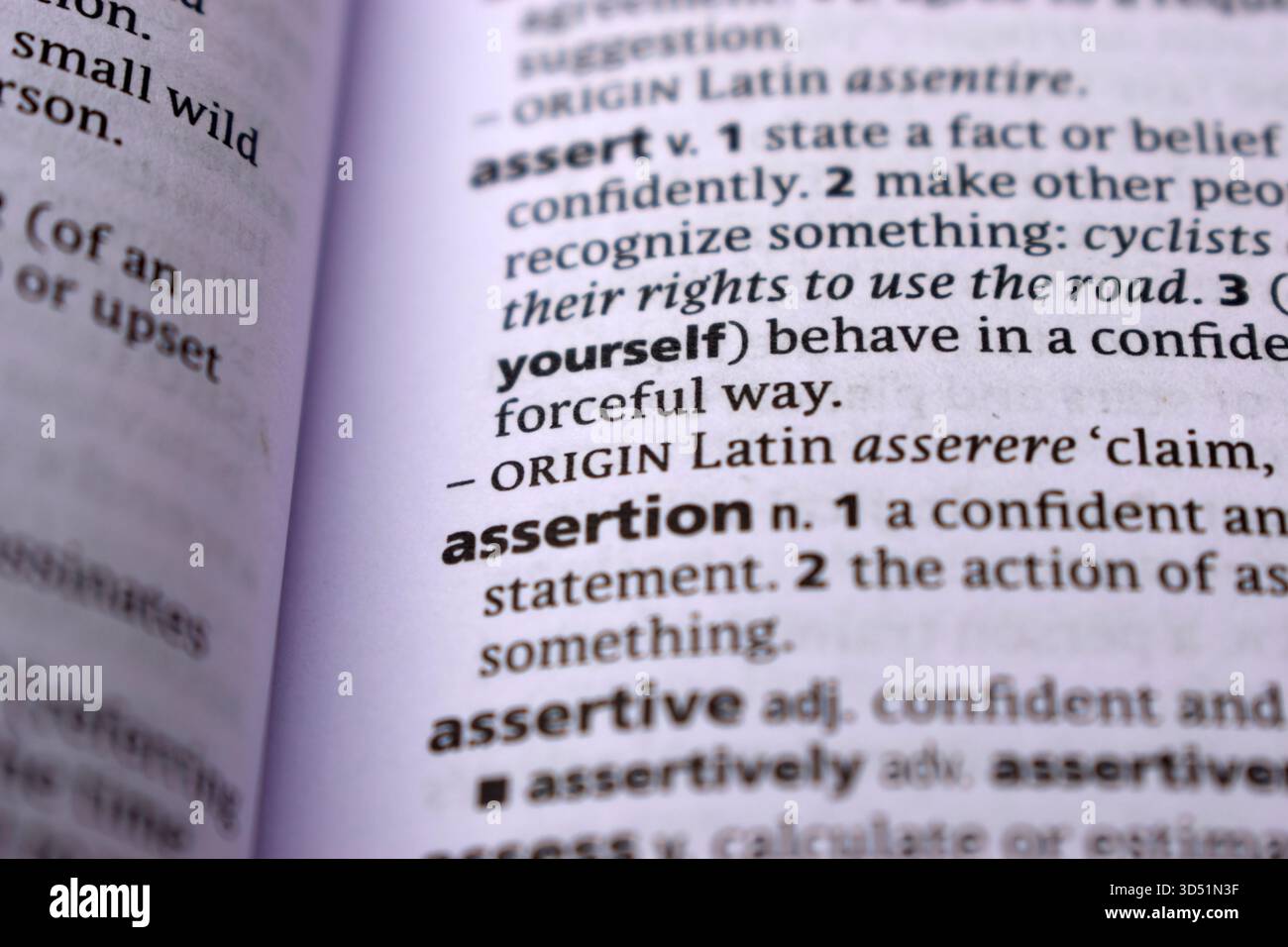 Primo piano della pagina del dizionario inglese con Word - assortion Foto Stock