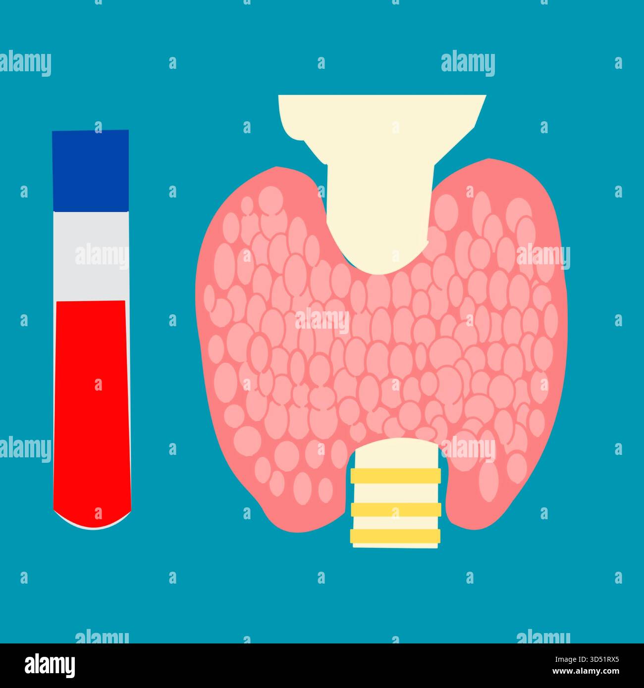 Test della tiroide test di laboratorio test del sangue per controllare i livelli di ormone tiroideo con provetta riempita di sangue Illustrazione Vettoriale