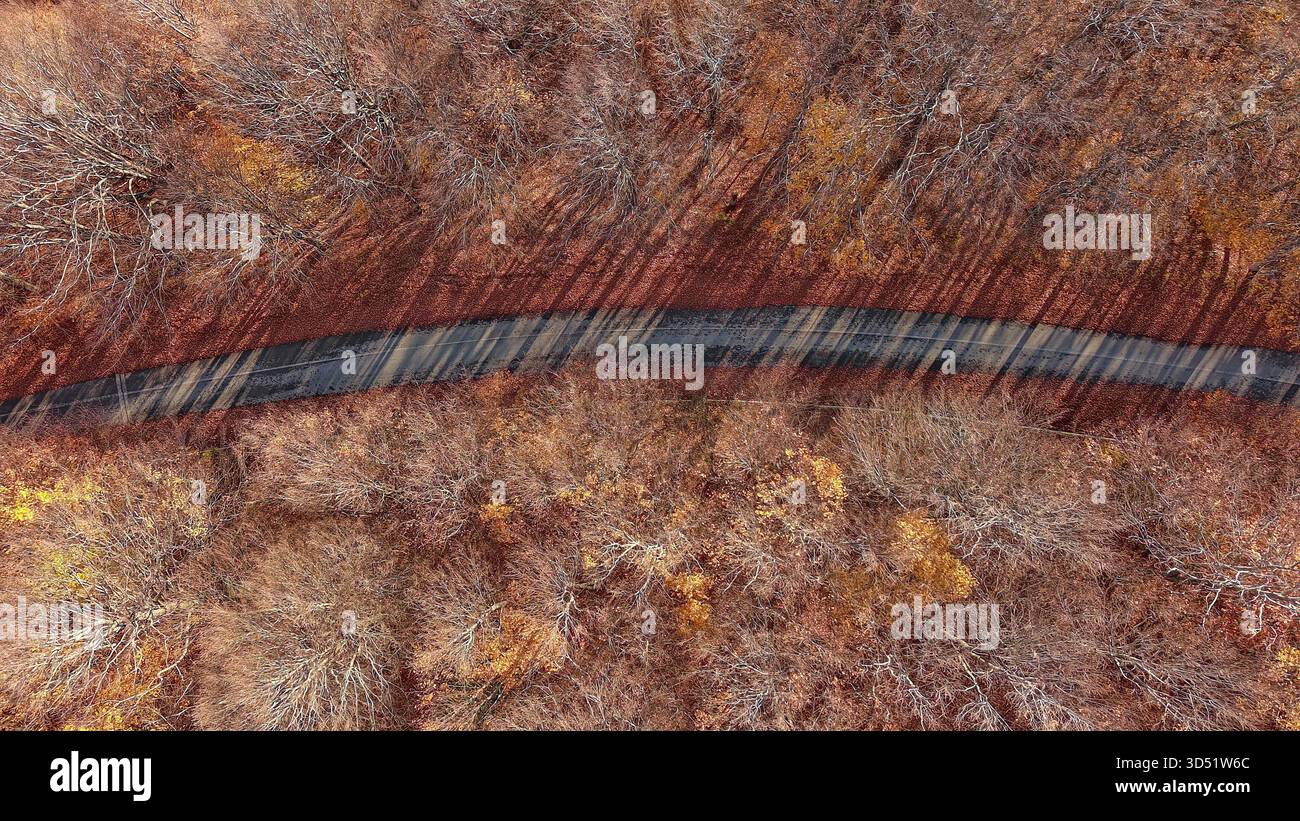 Autunno al Pilio, foresta di faggi, vista aerea, Magnesia, Tessaglia, Grecia Foto Stock