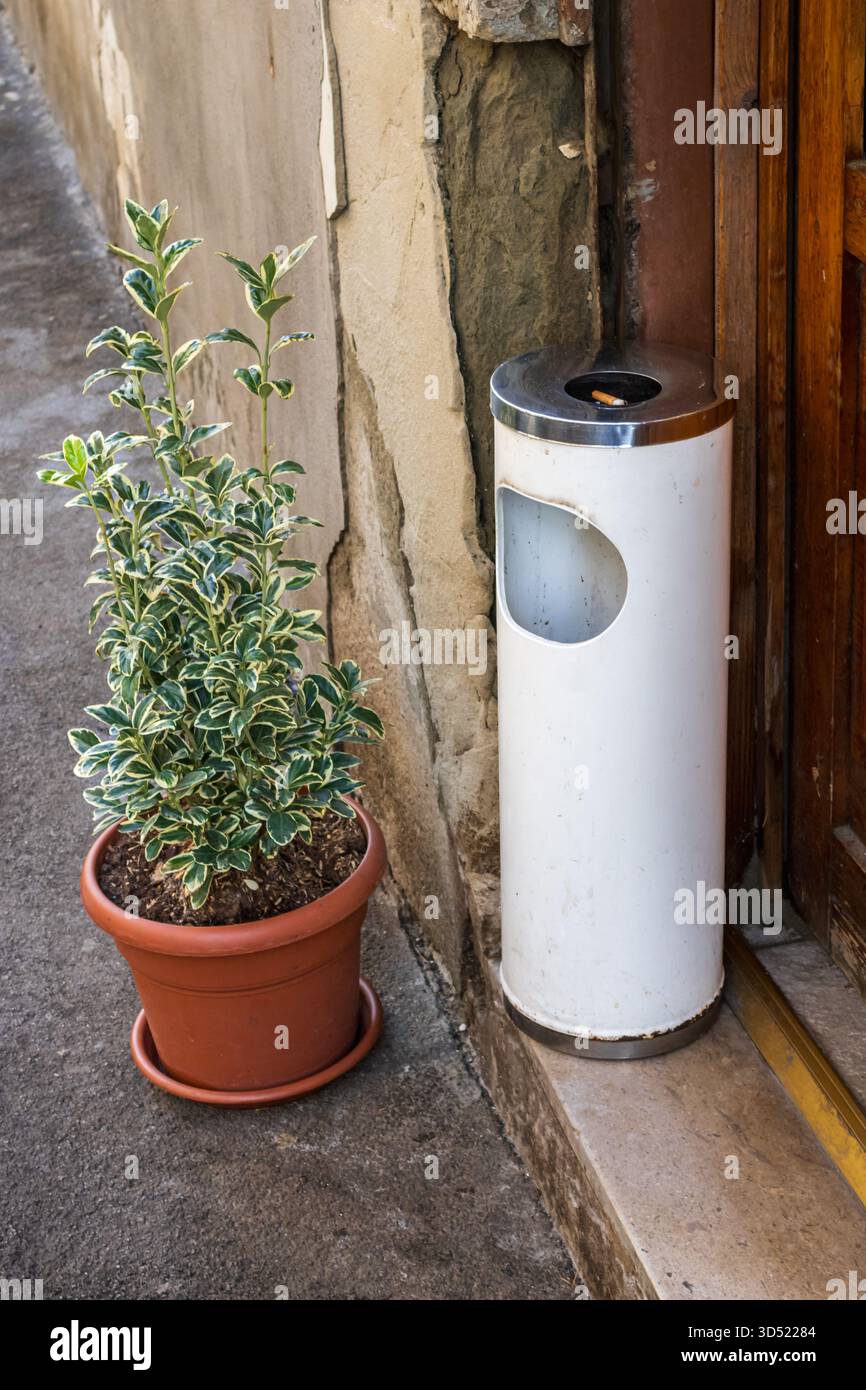 pianta in vaso accanto al posacenere bianco all'aperto dalla porta Foto Stock