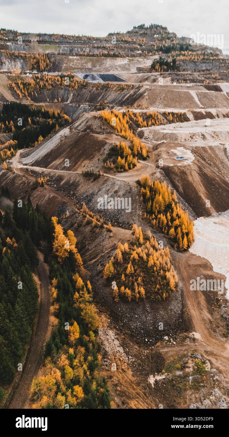 Goldgelbe Lärchen am Erzberg in den Eisenerzer Alpen bei der steirischen Stadt Eisenerz am 30.10.2025. // larici d'oro sul monte Erzberg nelle Alpi Eisenerz vicino alla città stiriana di Eisenerz il 30 ottobre 2025. - 20251030 PD16813 Foto Stock