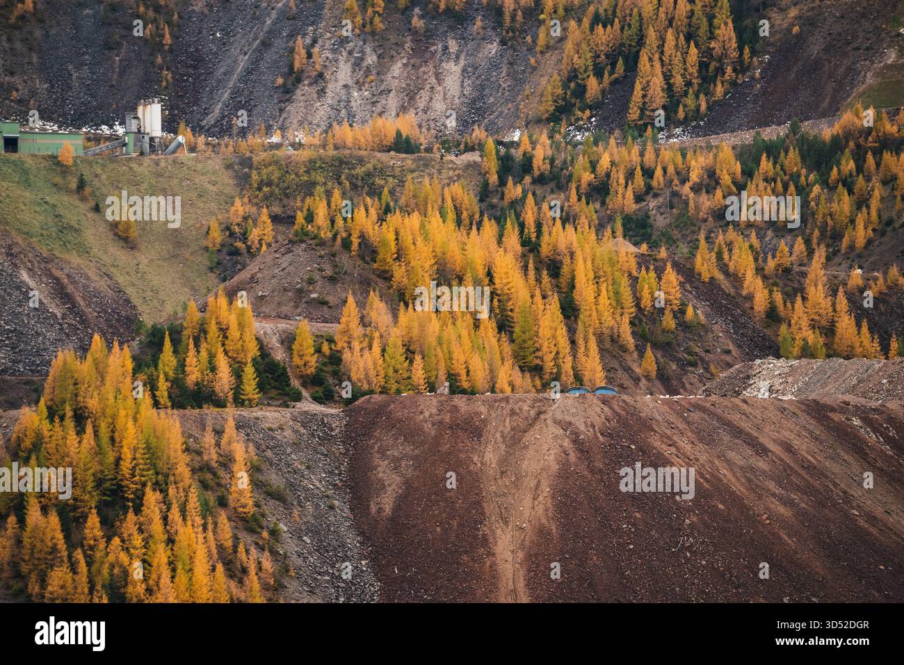 Goldgelbe Lärchen am Erzberg in den Eisenerzer Alpen bei der steirischen Stadt Eisenerz am 30.10.2025. // larici d'oro sul monte Erzberg nelle Alpi Eisenerz vicino alla città stiriana di Eisenerz il 30 ottobre 2025. - 20251030 PD16808 credito: APA-PictureDesk/Alamy Live News Foto Stock