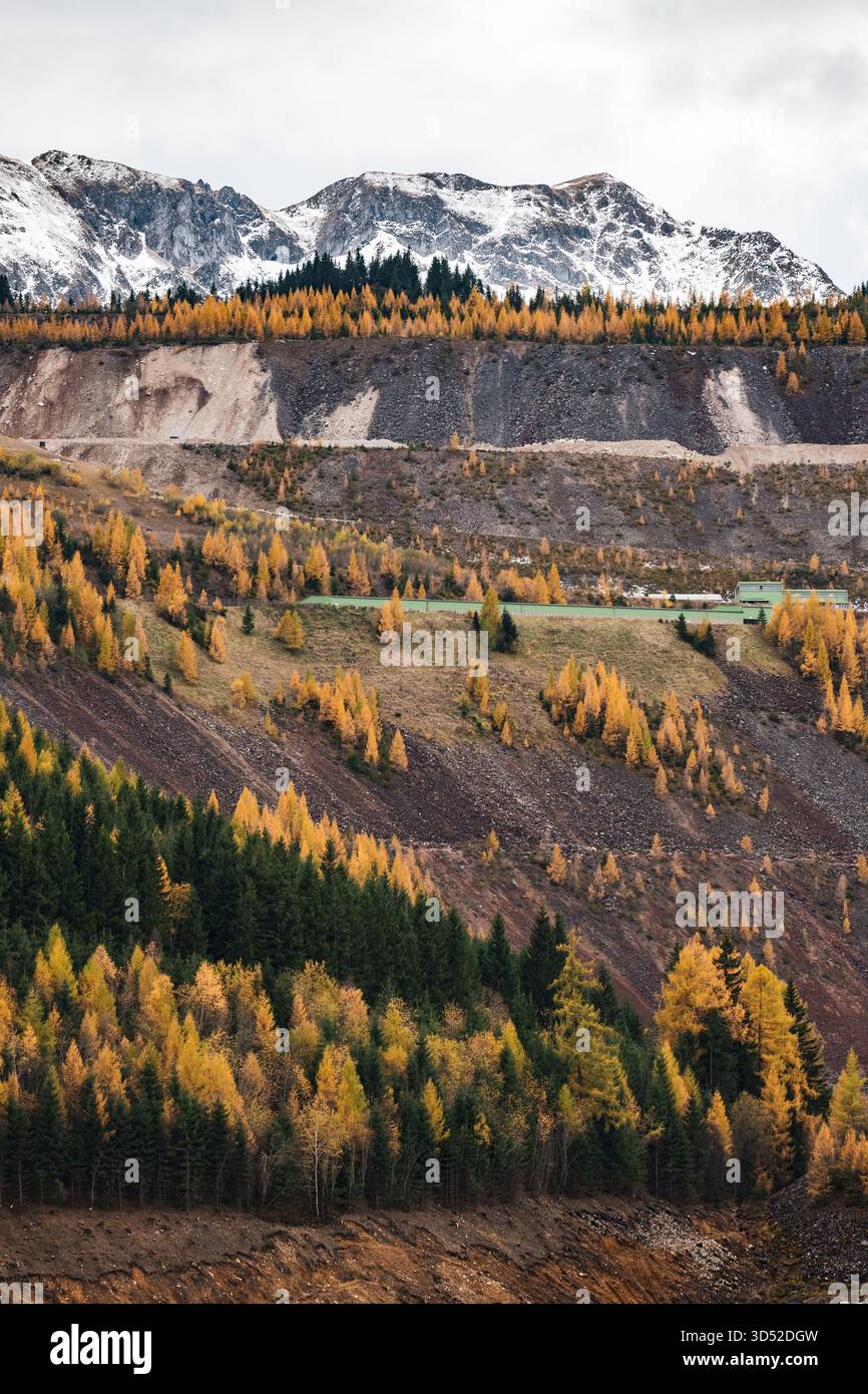 Goldgelbe Lärchen am Erzberg in den Eisenerzer Alpen bei der steirischen Stadt Eisenerz am 30.10.2025. // larici d'oro sul monte Erzberg nelle Alpi Eisenerz vicino alla città stiriana di Eisenerz il 30 ottobre 2025. - 20251030 PD16812 credito: APA-PictureDesk/Alamy Live News Foto Stock