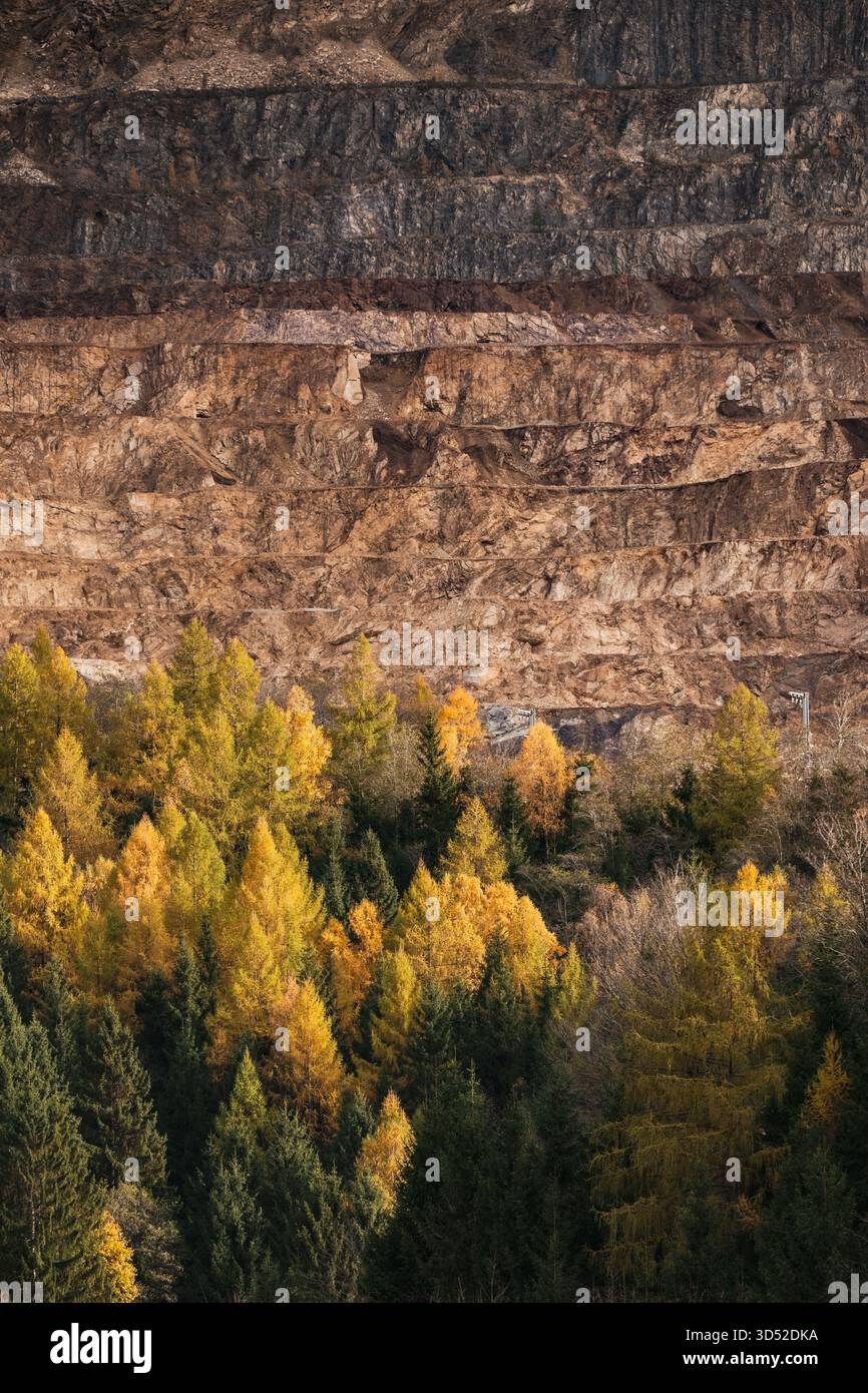 Goldgelbe Lärchen am Erzberg in den Eisenerzer Alpen bei der steirischen Stadt Eisenerz am 30.10.2025. // larici d'oro sul monte Erzberg nelle Alpi Eisenerz vicino alla città stiriana di Eisenerz il 30 ottobre 2025. - 20251030 PD16800 credito: APA-PictureDesk/Alamy Live News Foto Stock