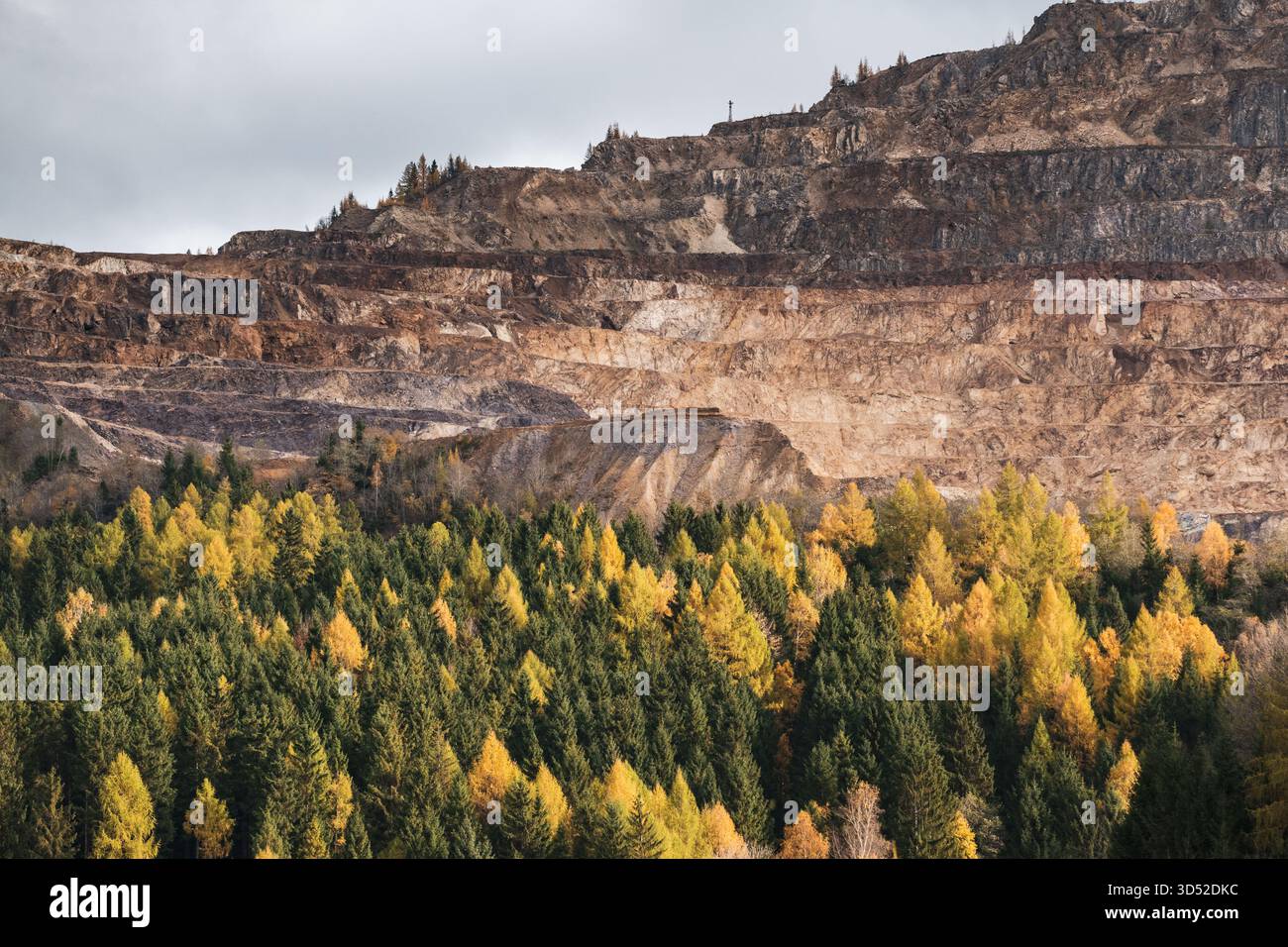 Goldgelbe Lärchen am Erzberg in den Eisenerzer Alpen bei der steirischen Stadt Eisenerz am 30.10.2025. // larici d'oro sul monte Erzberg nelle Alpi Eisenerz vicino alla città stiriana di Eisenerz il 30 ottobre 2025. - 20251030 PD16799 credito: APA-PictureDesk/Alamy Live News Foto Stock
