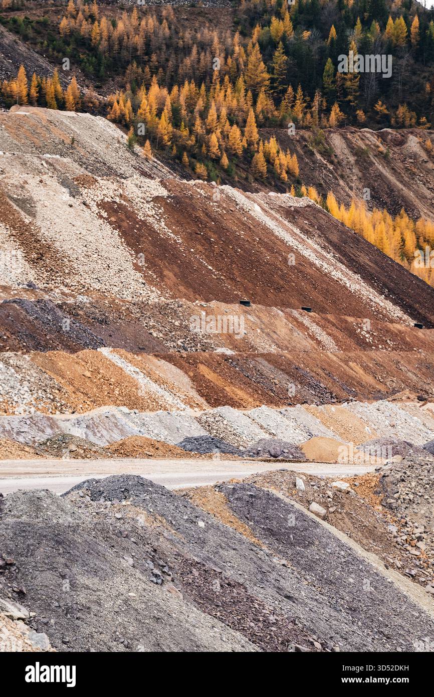 Goldgelbe Lärchen am Erzberg in den Eisenerzer Alpen bei der steirischen Stadt Eisenerz am 30.10.2025. // larici d'oro sul monte Erzberg nelle Alpi Eisenerz vicino alla città stiriana di Eisenerz il 30 ottobre 2025. - 20251030 PD16801 credito: APA-PictureDesk/Alamy Live News Foto Stock