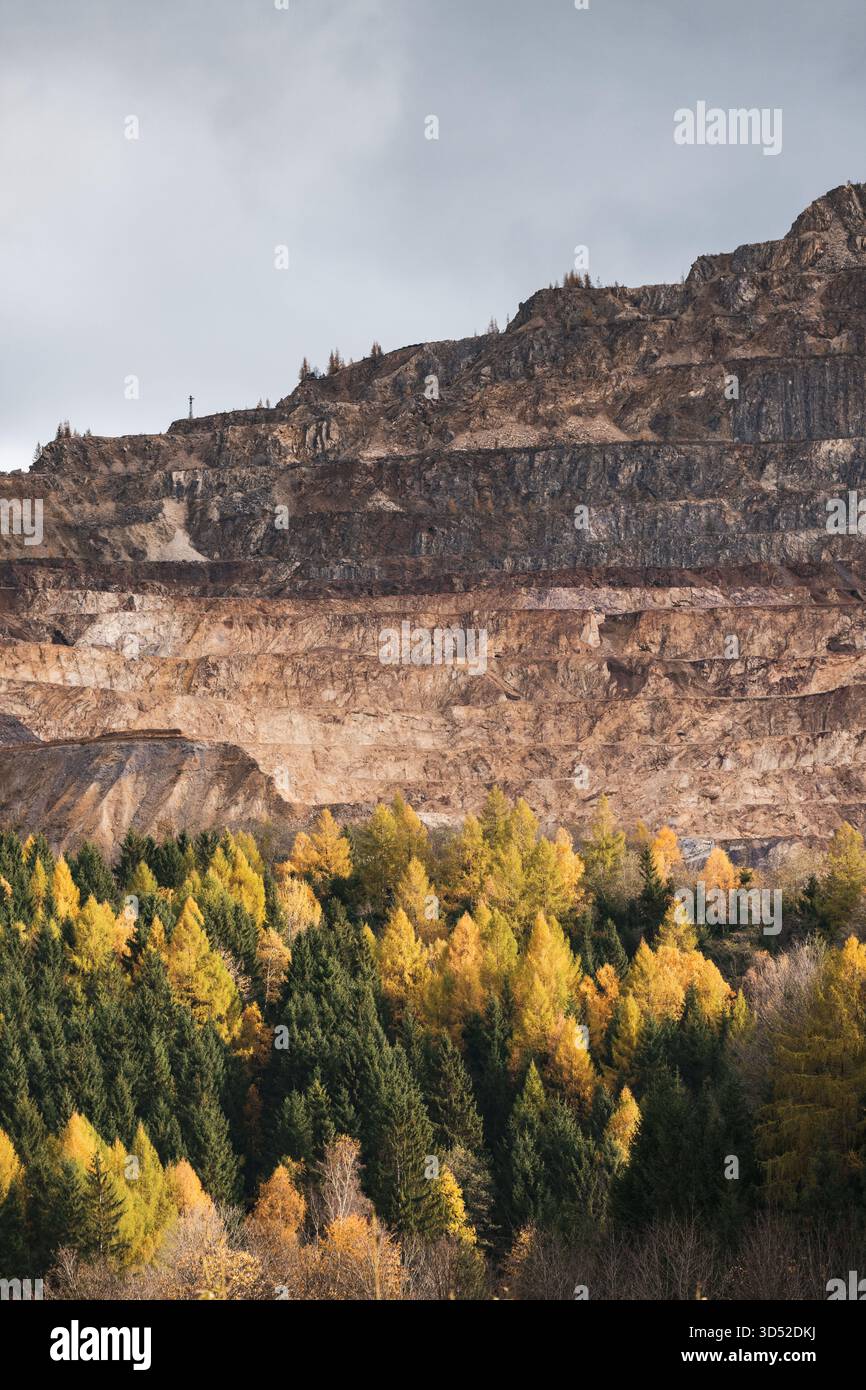 Goldgelbe Lärchen am Erzberg in den Eisenerzer Alpen bei der steirischen Stadt Eisenerz am 30.10.2025. // larici d'oro sul monte Erzberg nelle Alpi Eisenerz vicino alla città stiriana di Eisenerz il 30 ottobre 2025. - 20251030 PD16802 credito: APA-PictureDesk/Alamy Live News Foto Stock