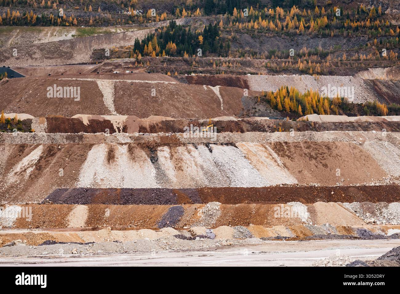 Goldgelbe Lärchen am Erzberg in den Eisenerzer Alpen bei der steirischen Stadt Eisenerz am 30.10.2025. // larici d'oro sul monte Erzberg nelle Alpi Eisenerz vicino alla città stiriana di Eisenerz il 30 ottobre 2025. - 20251030 PD16796 credito: APA-PictureDesk/Alamy Live News Foto Stock