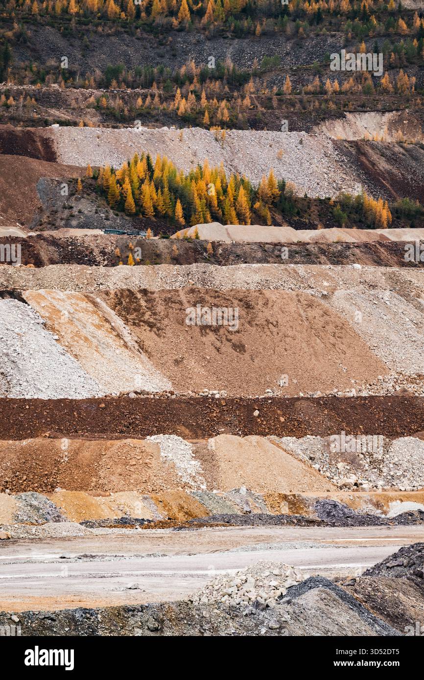 Goldgelbe Lärchen am Erzberg in den Eisenerzer Alpen bei der steirischen Stadt Eisenerz am 30.10.2025. // larici d'oro sul monte Erzberg nelle Alpi Eisenerz vicino alla città stiriana di Eisenerz il 30 ottobre 2025. - 20251030 PD16797 credito: APA-PictureDesk/Alamy Live News Foto Stock