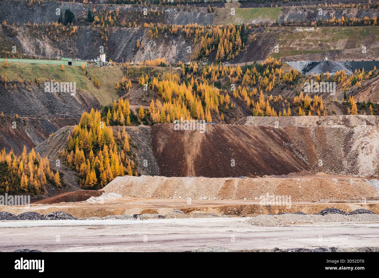 Goldgelbe Lärchen am Erzberg in den Eisenerzer Alpen bei der steirischen Stadt Eisenerz am 30.10.2025. // larici d'oro sul monte Erzberg nelle Alpi Eisenerz vicino alla città stiriana di Eisenerz il 30 ottobre 2025. - 20251030 PD16795 credito: APA-PictureDesk/Alamy Live News Foto Stock