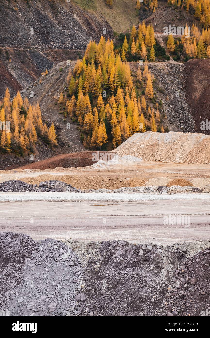 Goldgelbe Lärchen am Erzberg in den Eisenerzer Alpen bei der steirischen Stadt Eisenerz am 30.10.2025. // larici d'oro sul monte Erzberg nelle Alpi Eisenerz vicino alla città stiriana di Eisenerz il 30 ottobre 2025. - 20251030 PD16798 credito: APA-PictureDesk/Alamy Live News Foto Stock