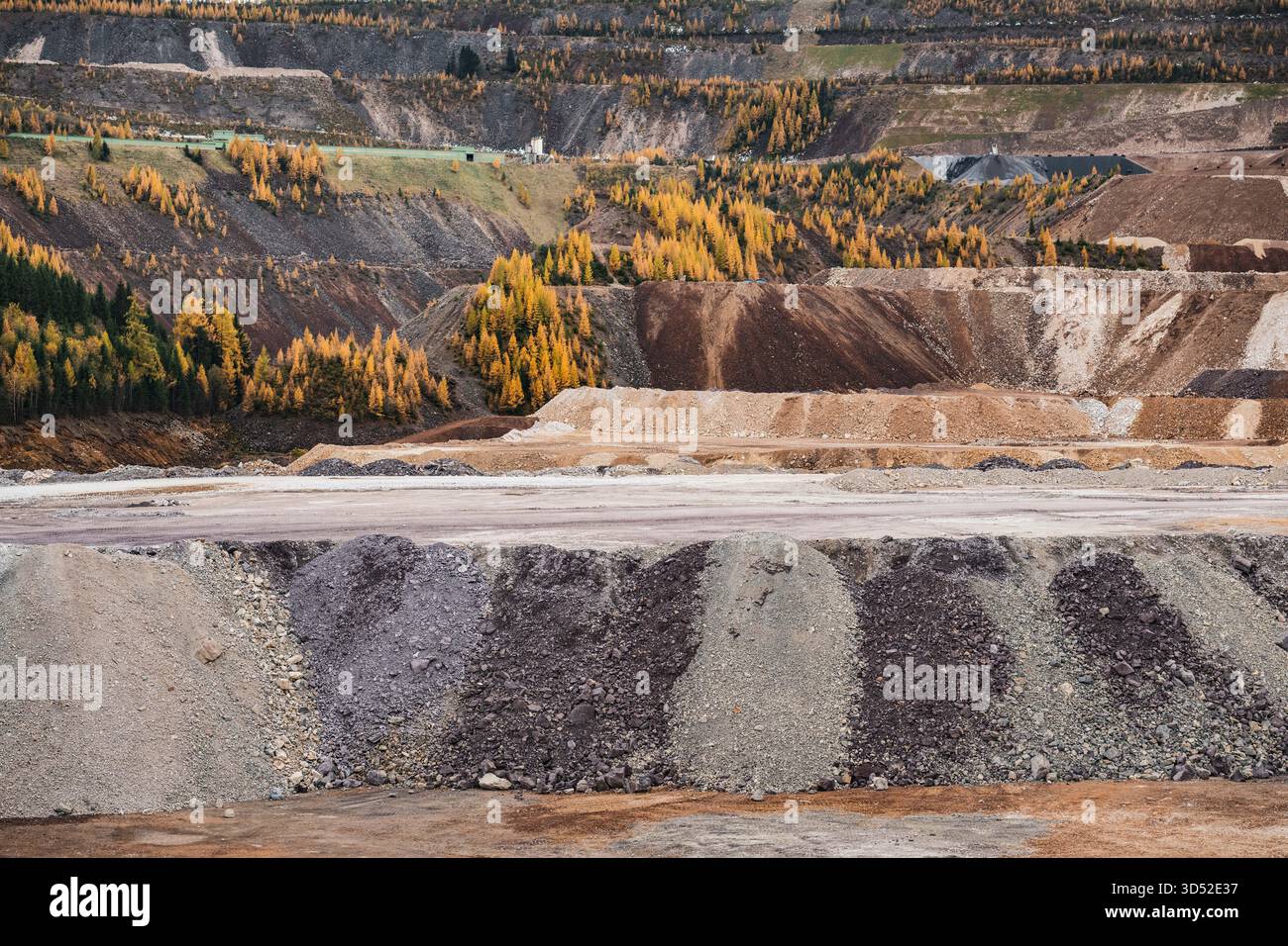 Goldgelbe Lärchen am Erzberg in den Eisenerzer Alpen bei der steirischen Stadt Eisenerz am 30.10.2025. // larici d'oro sul monte Erzberg nelle Alpi Eisenerz vicino alla città stiriana di Eisenerz il 30 ottobre 2025. - 20251030 PD16790 credito: APA-PictureDesk/Alamy Live News Foto Stock