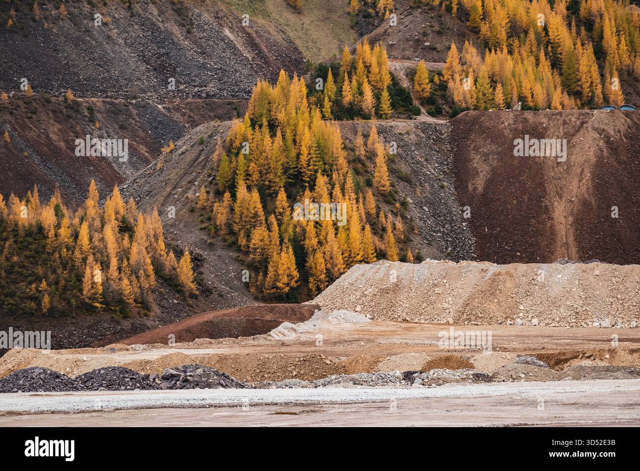 Goldgelbe Lärchen am Erzberg in den Eisenerzer Alpen bei der steirischen Stadt Eisenerz am 30.10.2025. // larici d'oro sul monte Erzberg nelle Alpi Eisenerz vicino alla città stiriana di Eisenerz il 30 ottobre 2025. - 20251030 PD16786 credito: APA-PictureDesk/Alamy Live News Foto Stock