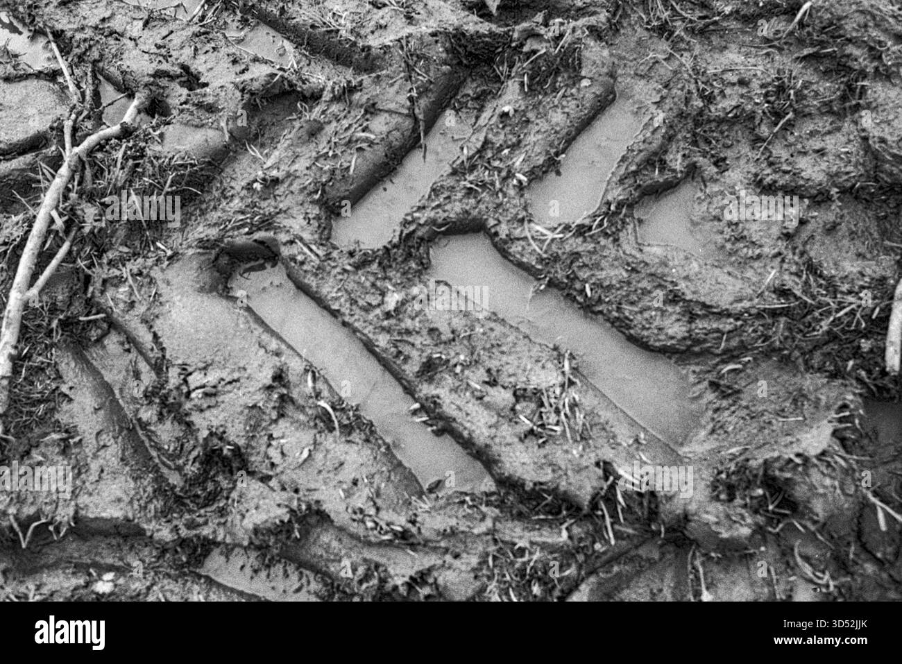Garzweiler, Tagebau. La miniera di carbone marrone a cielo aperto di Garzweiler Tagebau sta diventando sempre più grande entro la settimana, estraendo combustibili fossili come la lignite e il carbone marrone che alimentano la vicina centrale elettrica di Garzweiler Kraftwerk e produce enormi quantità di gas serra come carbonio e CO2, contribuendo così al riscaldamento globale e ai cambiamenti climatici. Intere Forrests sono state demolite, e aolso agri villaggi culturali di fine terra. Nordrhine-Westfalia, Germania. Girato su Analog Black & White Film, 2024. Garzweiler Garzweiler Tagebau Nordrhein-Westfalen Germania Copyright: XGuidoxKoppesxPhotox Foto Stock