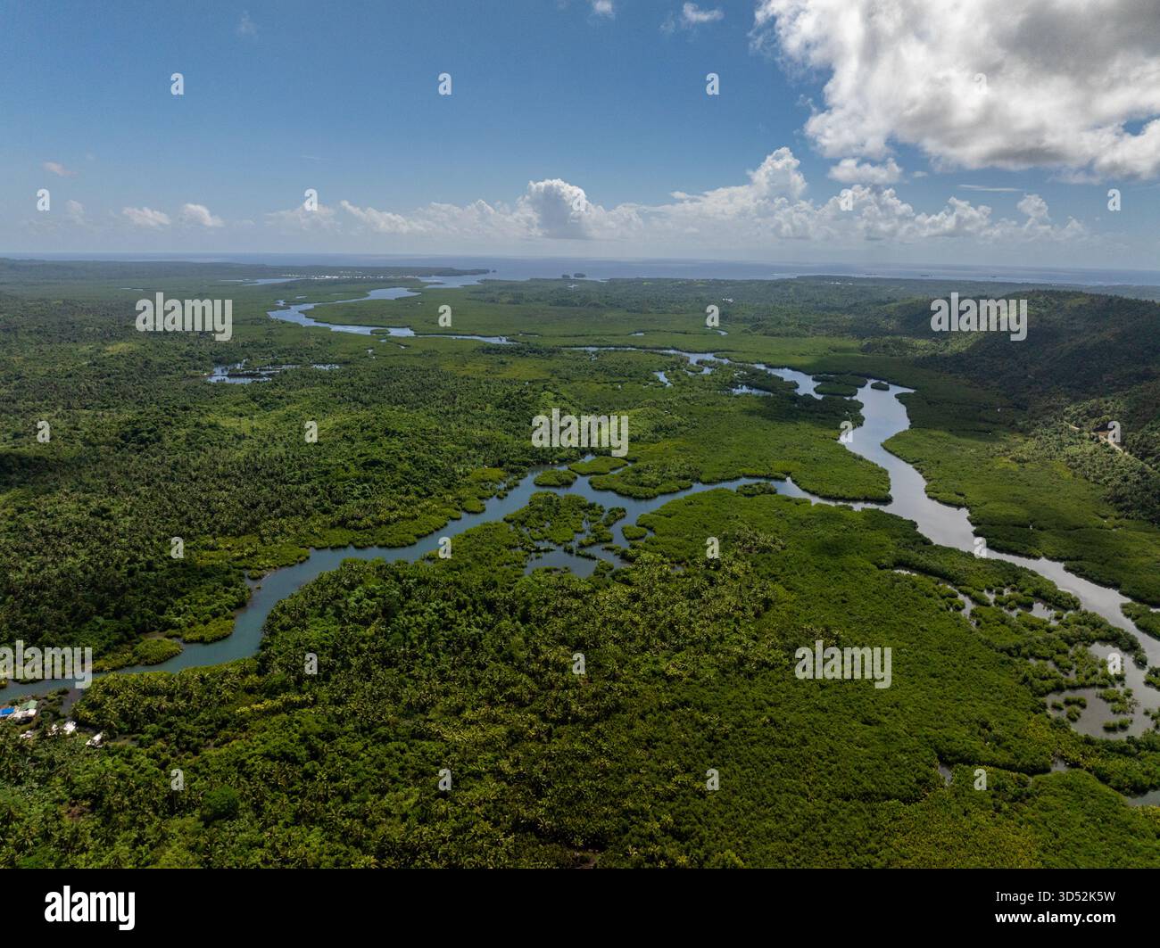 Vista aerea del fiume che scorre attraverso la foresta tropicale verde e le mangrovie con vista sull'oceano. Siargao, Filippine. Foto Stock