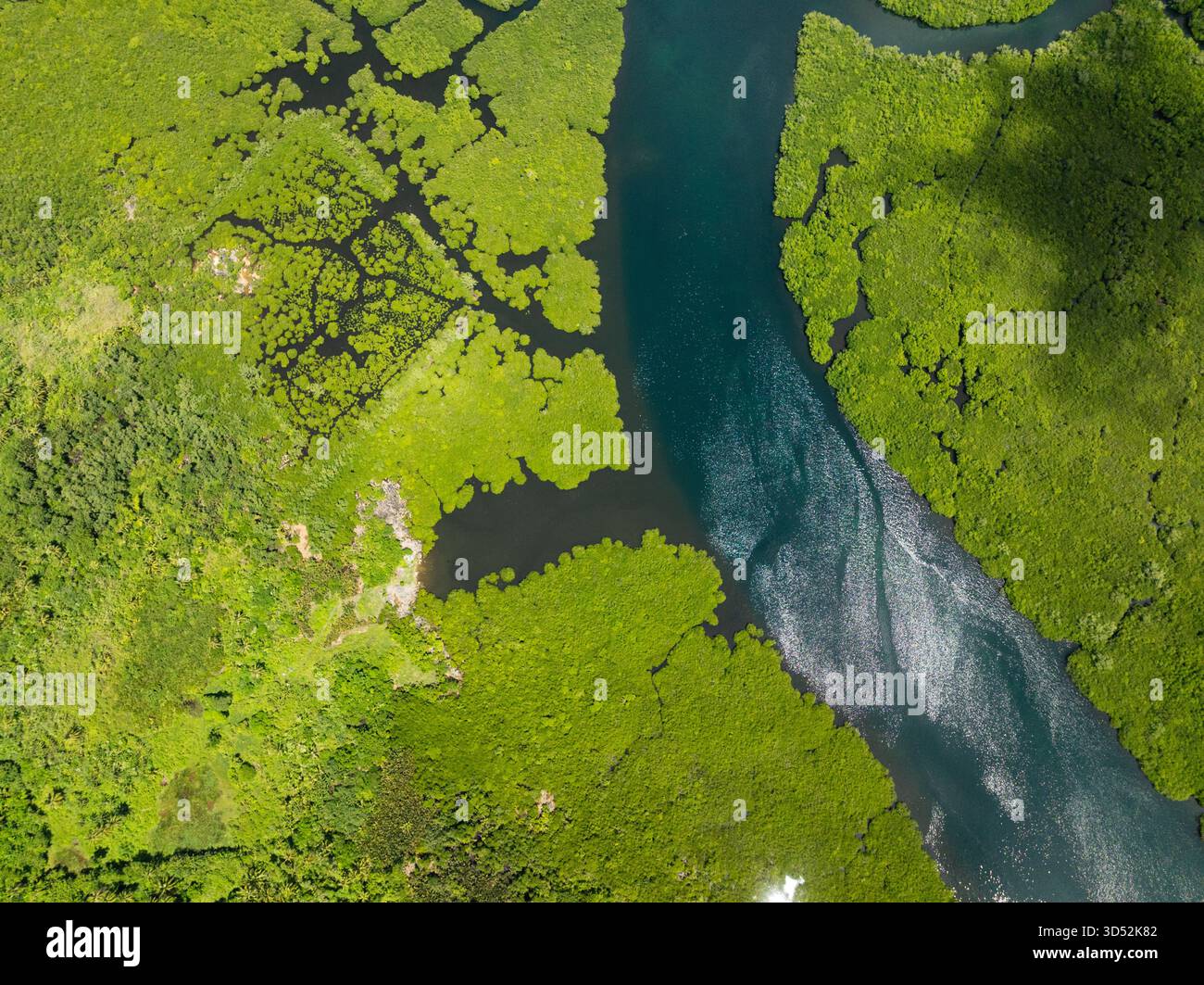 Vegetazione di mangrovie che incontra l'acqua limpida del fiume con motivi e riflessi visibili. Siargao, Filippine. Foto Stock