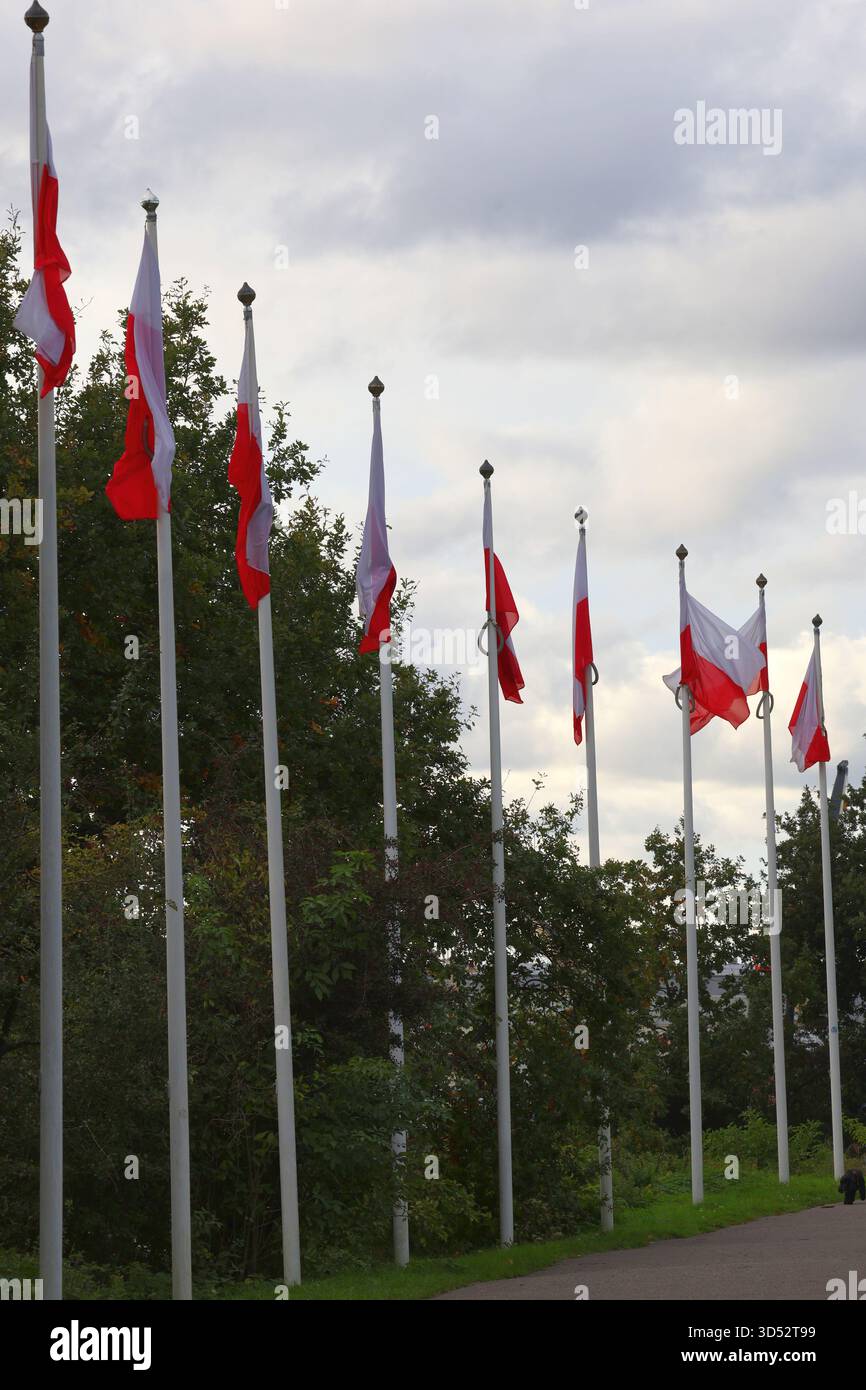 Fila di bandiere rosse e bianche polacche che sventolano contro un cielo nuvoloso Foto Stock