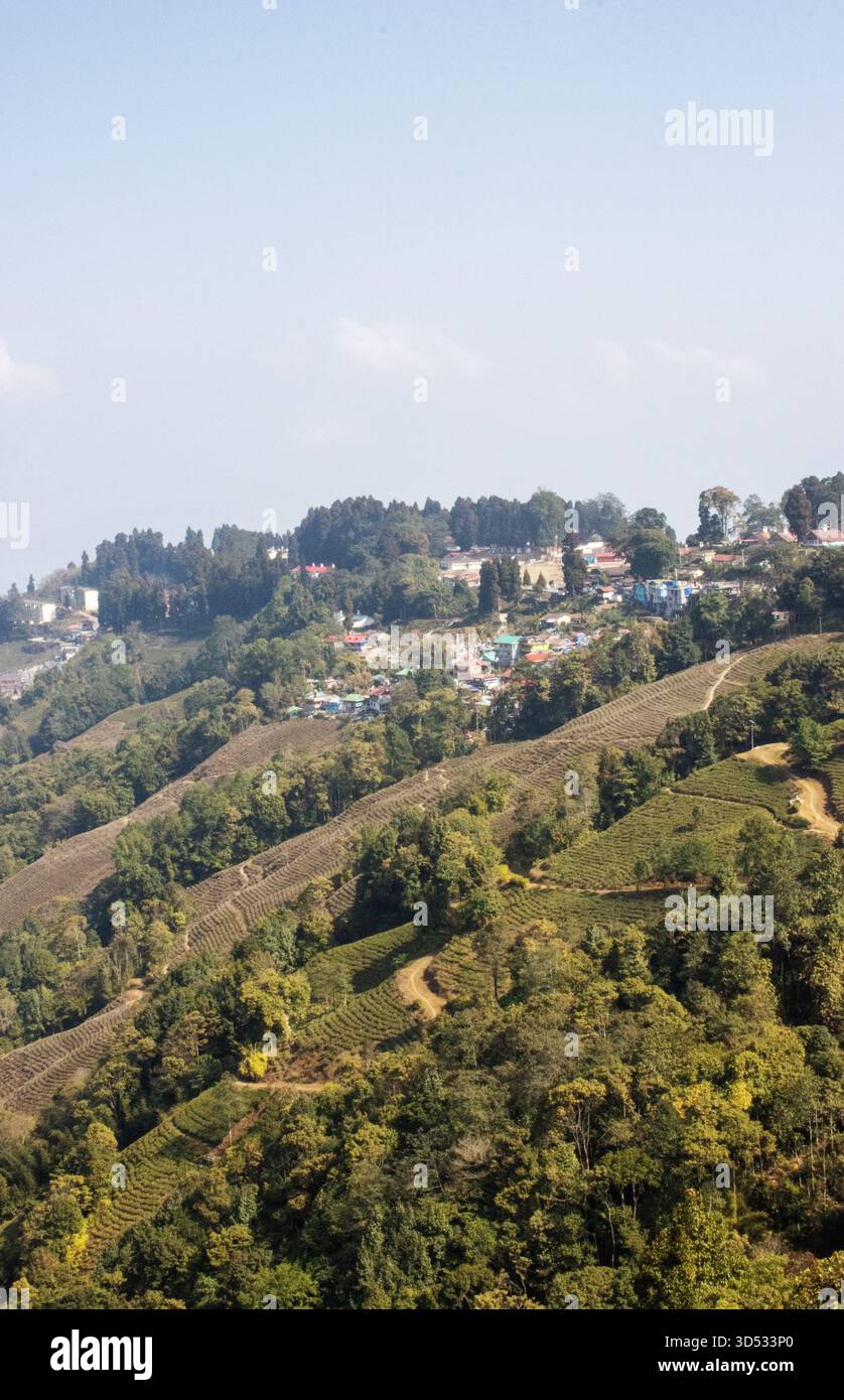 Darjeeling vilage e lato collina con la montagna Kangchenjunga sull'Himalaya sullo sfondo Foto Stock
