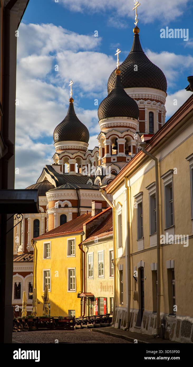 Tallinn capitale dell'Estonia nel Baltico Foto Stock