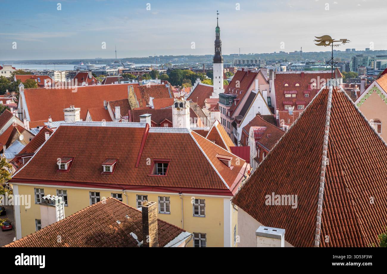 Tallinn capitale dell'Estonia nel Baltico Foto Stock