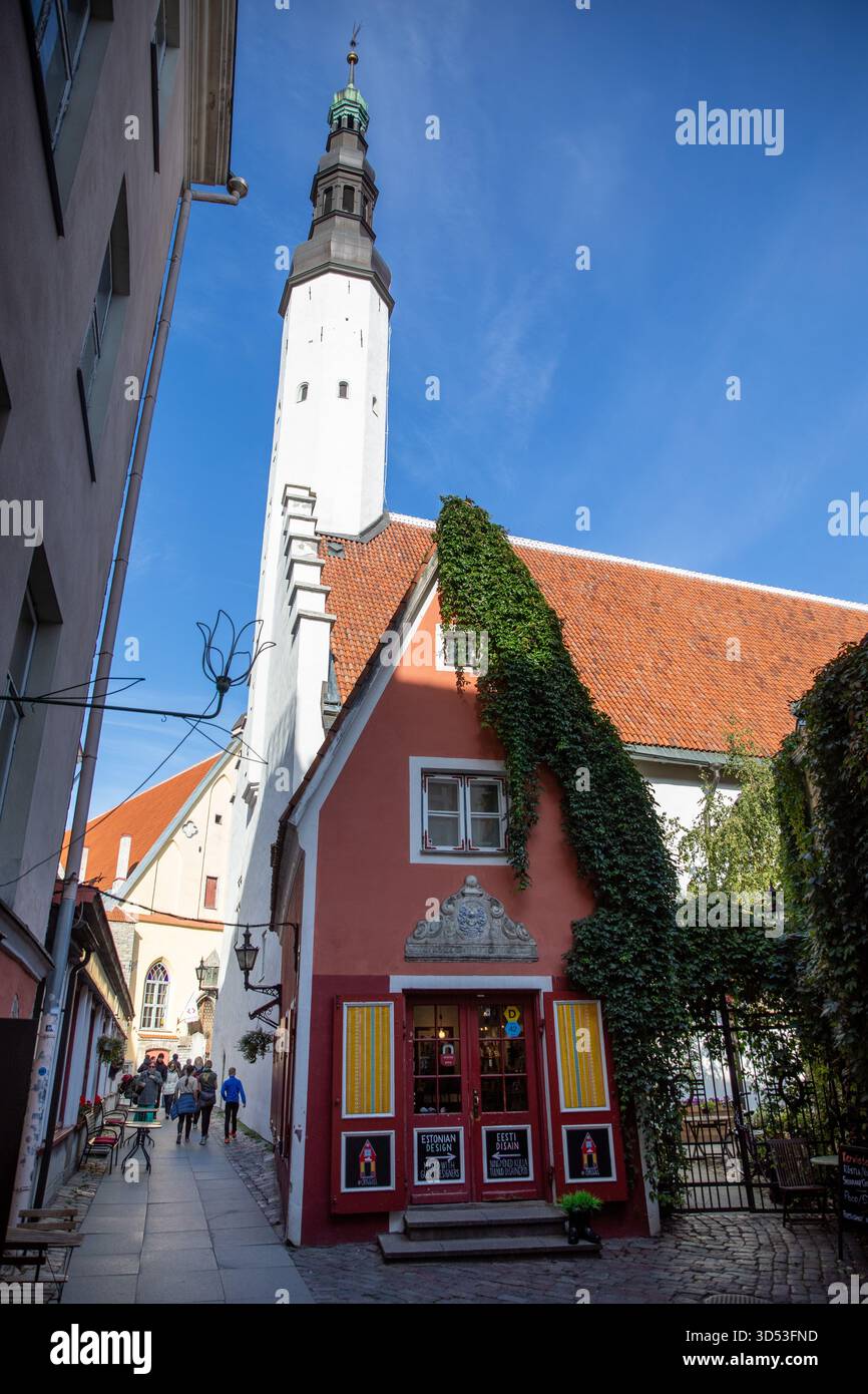 Tallinn capitale dell'Estonia nel Baltico Foto Stock