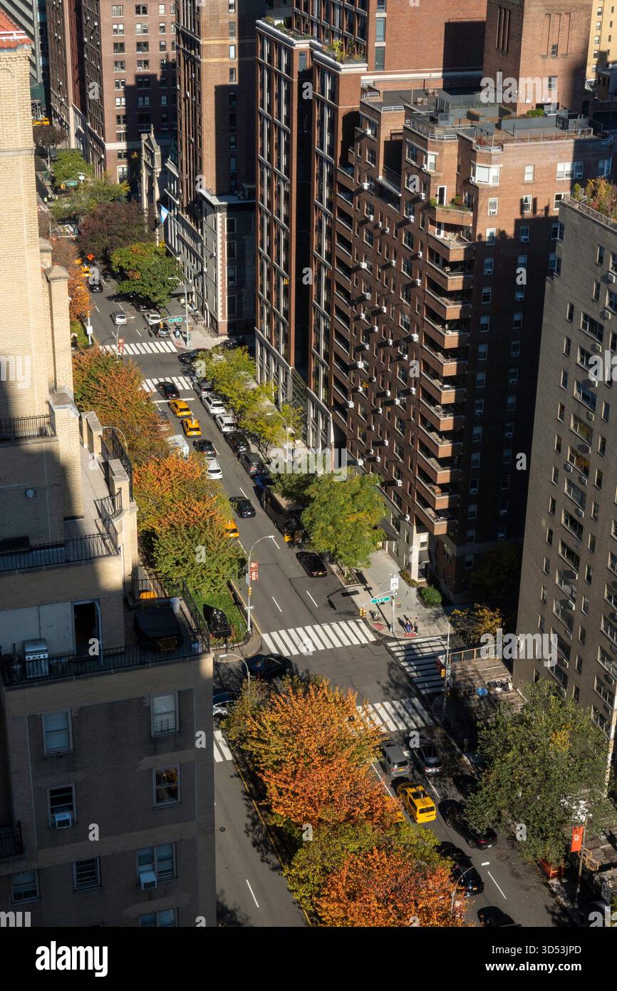 Vista ad alto angolo di Park Avenue a Murray Hill con fogliame autunnale arancione brillante nella media, 2025, New York City, Stati Uniti Foto Stock