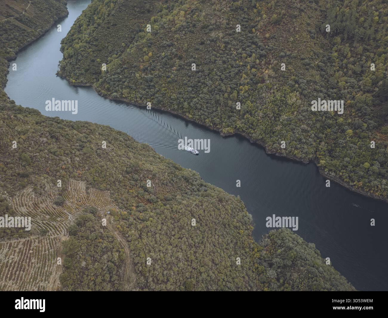 Vista aerea di una barca che naviga attraverso il buio e tortuoso fiume tagliato attraverso il paesaggio di Ribeira Sacra, Sober, Lugo, Spagna. Foto Stock