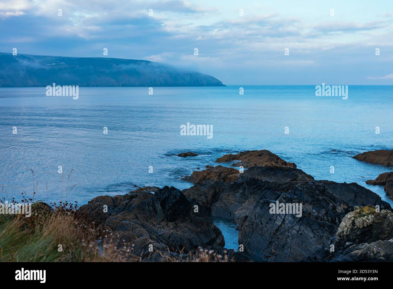 Guardando il «Port Cardigan» (l'estuario del fiume Teifi) dalle scogliere di Gwbert, comunità Y Ferwig, Ceredigion, Galles, Regno Unito Foto Stock