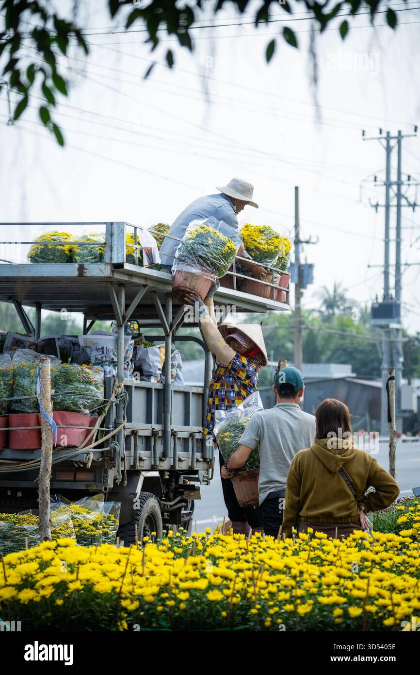 20 gennaio 2025: Una vista panoramica del villaggio di fiori Thanh Tri, provincia di Tien Giang, Vietnam, durante la stagione di picco della fioritura in preparazione del Foto Stock