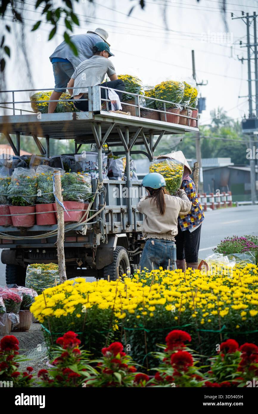 20 gennaio 2025: Una vista panoramica del villaggio di fiori Thanh Tri, provincia di Tien Giang, Vietnam, durante la stagione di picco della fioritura in preparazione del Foto Stock