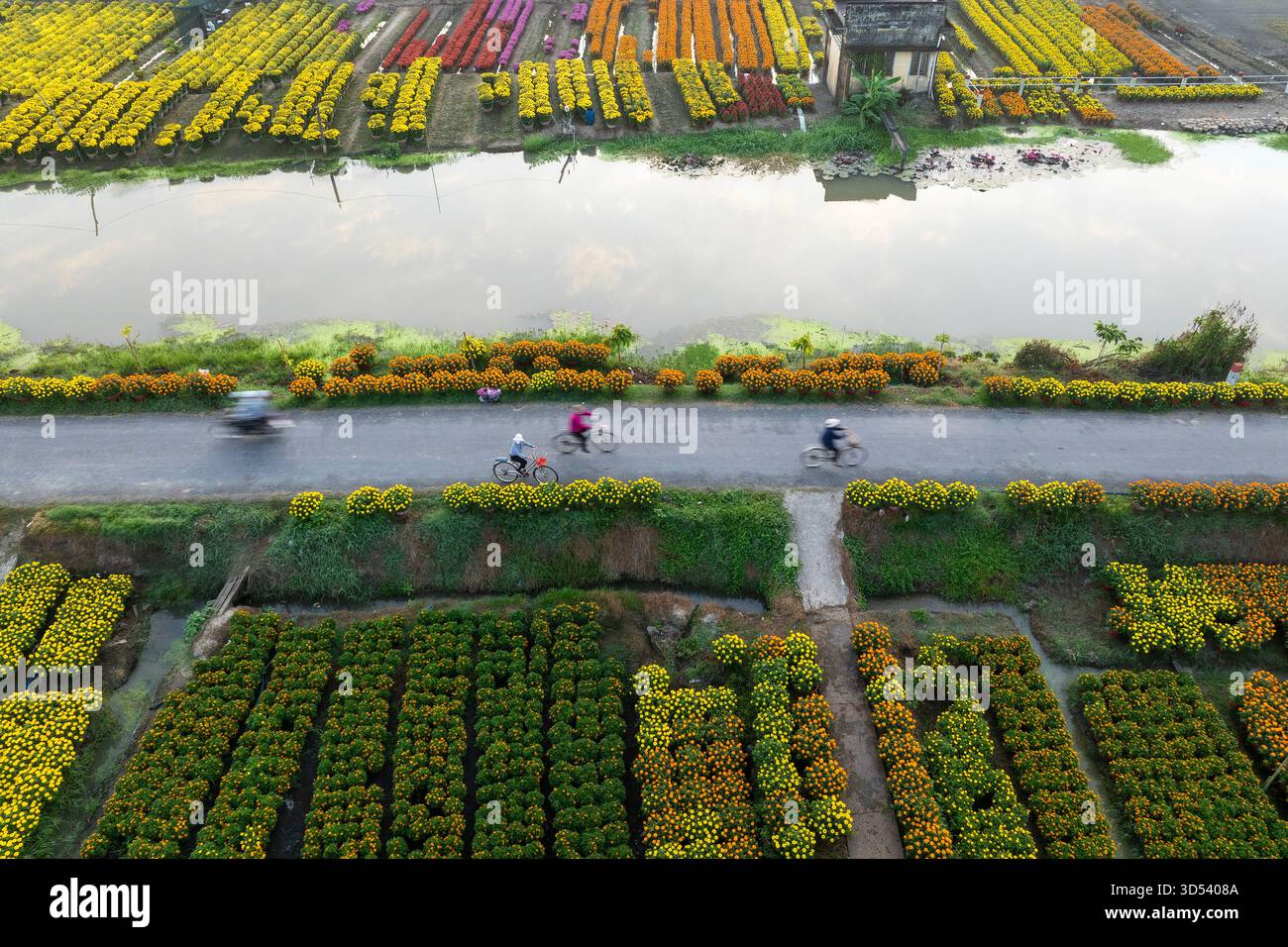 20 gennaio 2025: Una vista panoramica del villaggio di fiori Thanh Tri, provincia di Tien Giang, Vietnam, durante la stagione di picco della fioritura in preparazione del Foto Stock