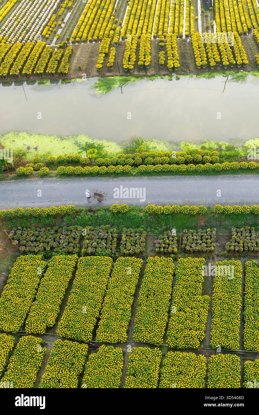 20 gennaio 2025: Una vista panoramica del villaggio di fiori Thanh Tri, provincia di Tien Giang, Vietnam, durante la stagione di picco della fioritura in preparazione del Foto Stock