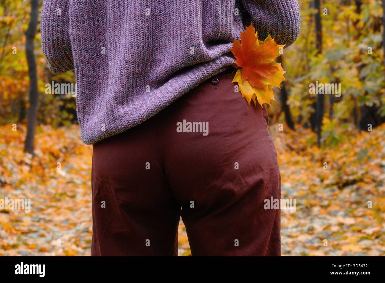 Immagine autunnale, vista posteriore, un uomo con un voluminoso maglione lilla e pantaloni marroni tiene una foglia d'acero arancione in un parco o in una foresta con fogliame giallo. Foto Stock