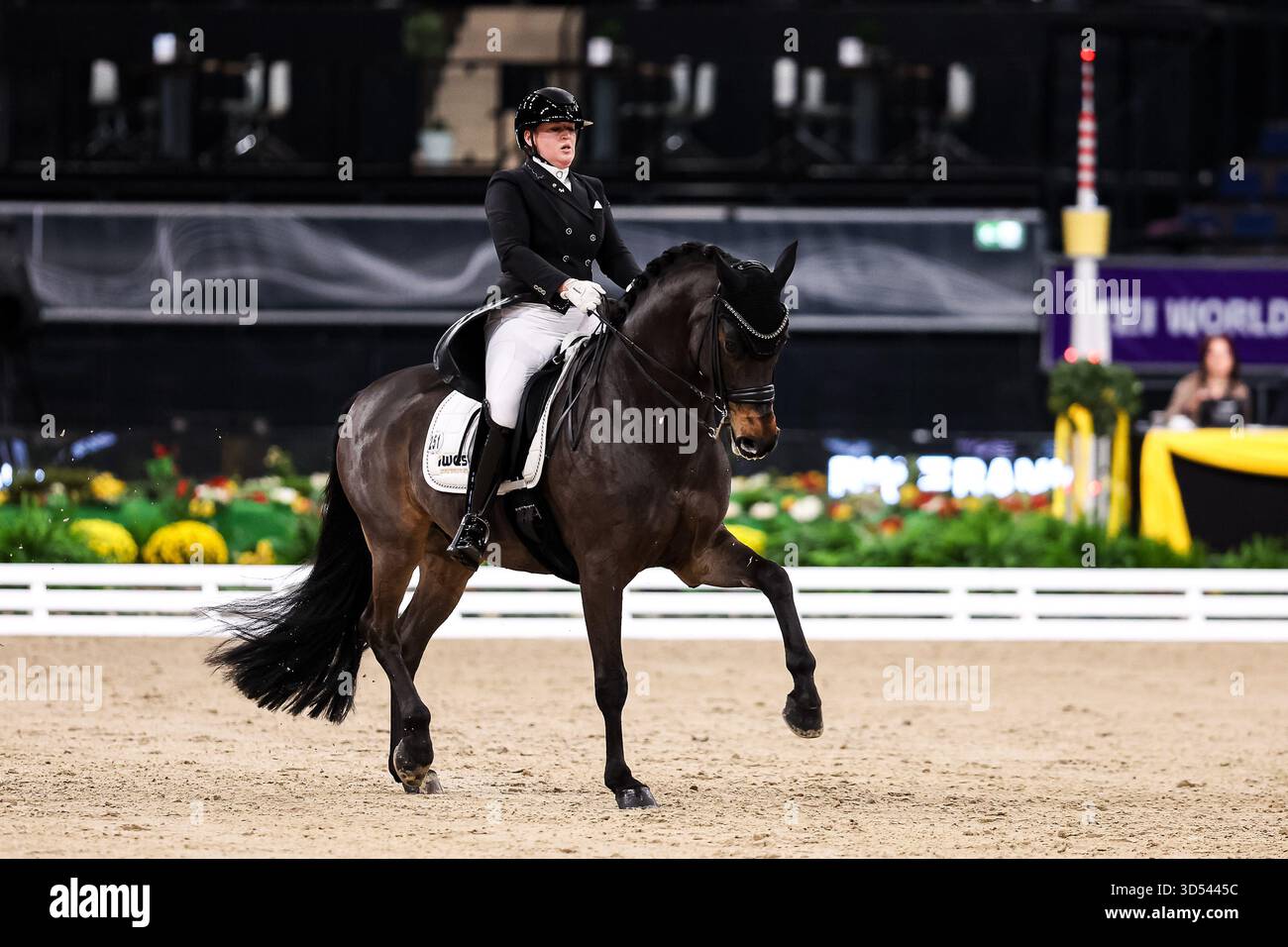 Tina von Briel su Tallahassee (RZ Frese Immenhoefe) Dressage Cup della compagnia iWEST Intermediate i Dressage Kuer esame finale Baden-Württemberg GER, Stoccarda German Masters 2025, 39° Torneo Equestre Internazionale, 11/13/2025 foto: Eibne Foto Stock