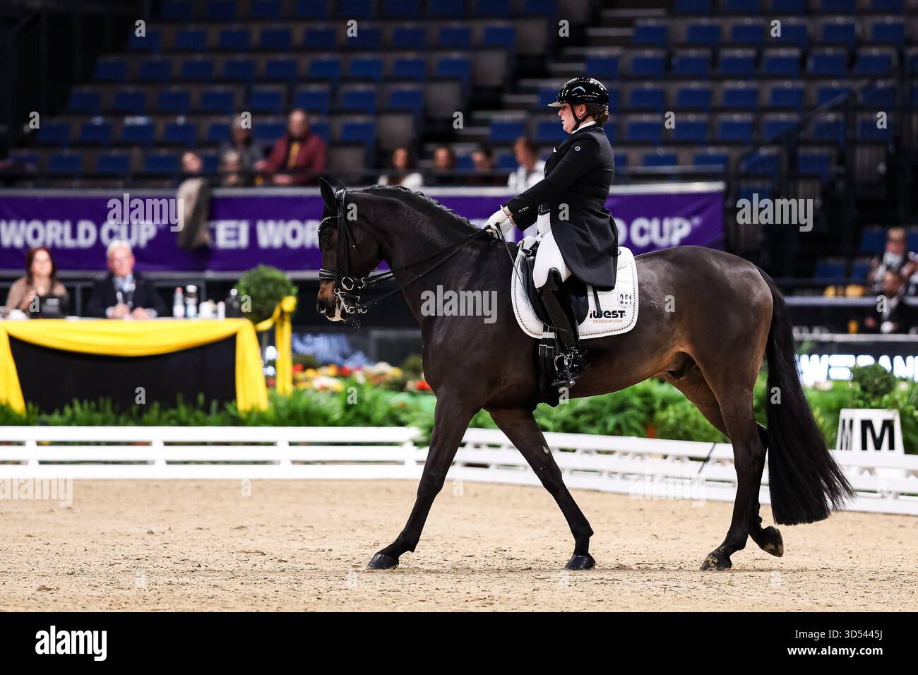 Tina von Briel su Tallahassee (RZ Frese Immenhoefe) Dressage Cup della compagnia iWEST Intermediate i Dressage Final Examination Baden-Württemberg GER, Stoccarda German Masters 2025, 39th International Equestrian Tournament, 13 novembre 2025 foto: EIB Foto Stock