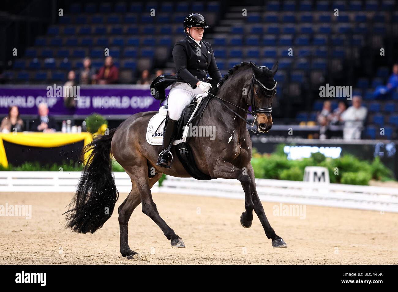 Tina von Briel su Tallahassee (RZ Frese Immenhoefe) Dressage Cup della compagnia iWEST Dressage Intermediate i Kuer esame finale Baden-Württemberg GER, Stoccarda German Masters 2025, 39° Torneo Equestre Internazionale, 11/13/2025 foto: Eibne Foto Stock