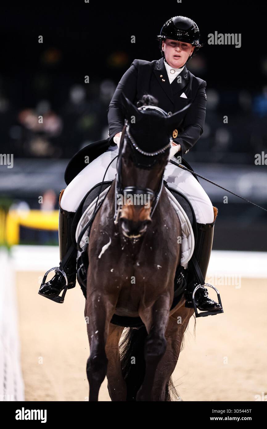 Tina von Briel su Tallahassee (RZ Frese Immenhoefe) Dressage Cup della compagnia iWEST Dressage Intermediate i Kuer esame finale Baden-Württemberg GER, Stoccarda German Masters 2025, 39° Torneo Equestre Internazionale, 13 novembre 2025 foto Foto Stock