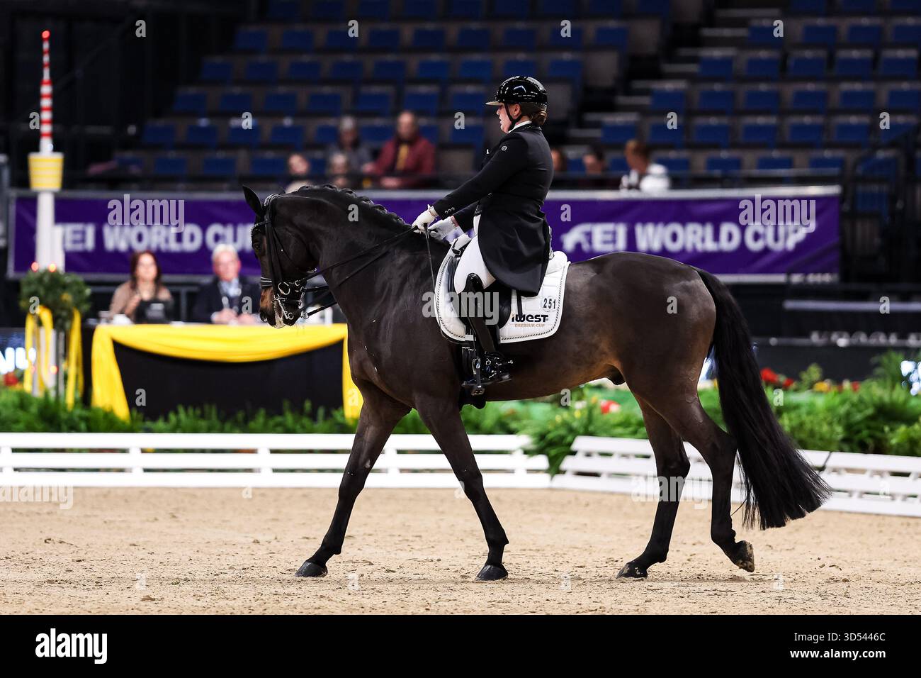 Tina von Briel su Tallahassee (RZ Frese Immenhoefe) Dressage Cup della compagnia iWEST Dressage Intermediate i Kuer esame finale Baden-Württemberg GER, Stoccarda German Masters 2025, 39° Torneo Equestre Internazionale, 13 novembre 2025 foto Foto Stock