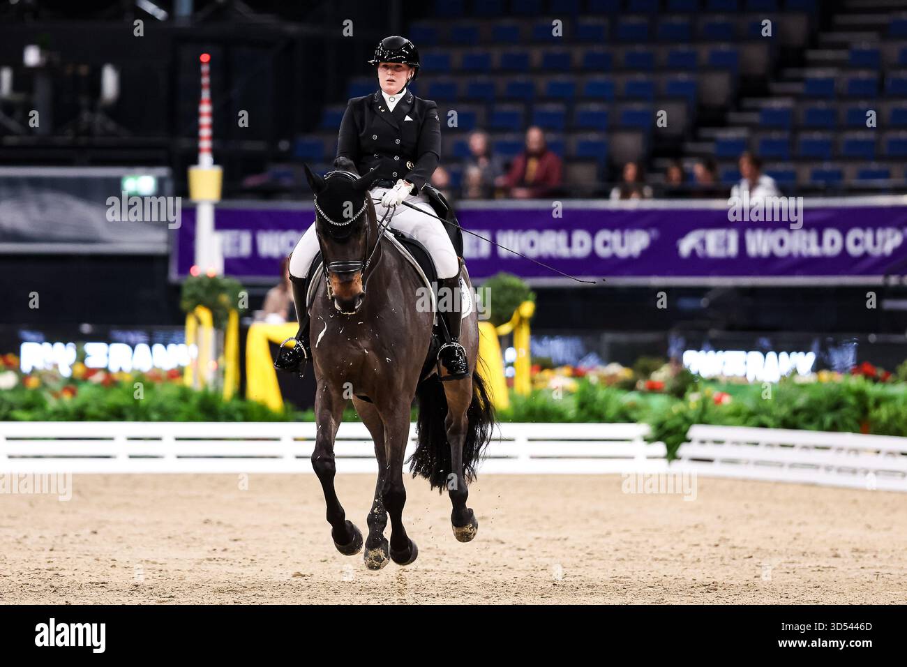 Tina von Briel su Tallahassee (RZ Frese Immenhoefe) Dressage Cup della compagnia iWEST Dressage Intermediate i Kuer esame finale Baden-Württemberg GER, Stoccarda German Masters 2025, 39° Torneo Equestre Internazionale, 11/13/2025 foto: Eibne Foto Stock