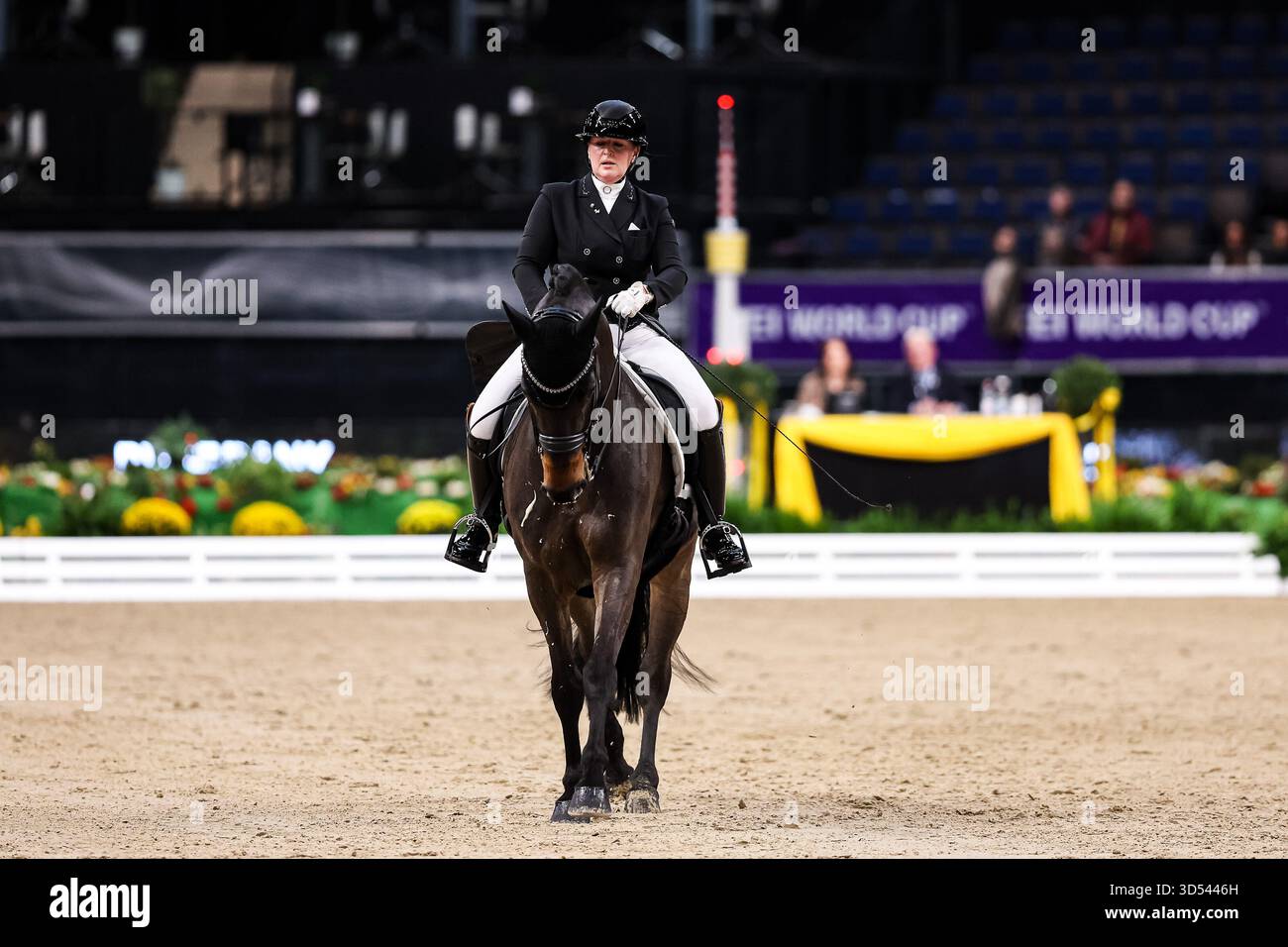Tina von Briel su Tallahassee (RZ Frese Immenhoefe) Dressage Cup della compagnia iWEST Dressage Intermediate i Kuer esame finale Baden-Württemberg GER, Stoccarda German Masters 2025, 39° Torneo Equestre Internazionale, 11/13/2025 foto: Eibne Foto Stock