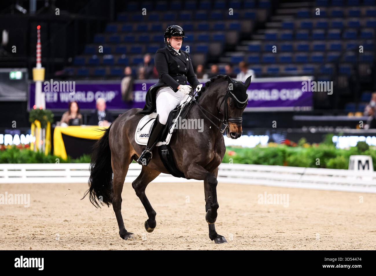 Tina von Briel su Tallahassee (RZ Frese Immenhoefe) Dressage Cup della compagnia iWEST Intermediate i Dressage Final Examination Baden-Württemberg GER, Stoccarda German Masters 2025, 39° Torneo Equestre Internazionale, 13 novembre 2025 foto: EIB Foto Stock